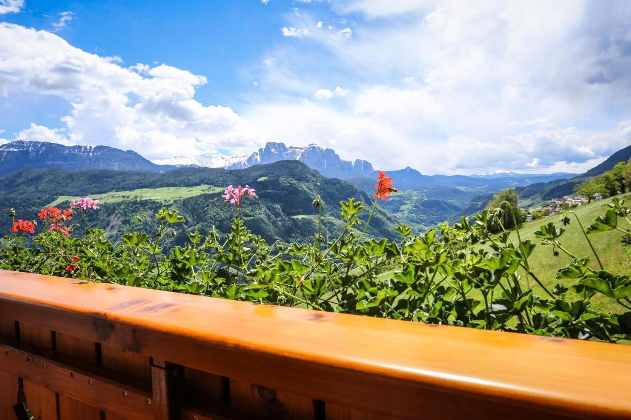 Oberpalwitterhof Barbiano (Trentino Alto Adige) Exterior foto