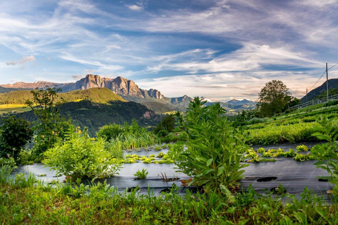 Oberpalwitterhof Barbiano (Trentino Alto Adige) Exterior foto